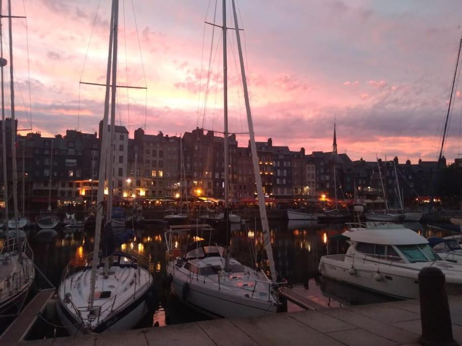 Cote Lavoir A Honfleur, Parking Prive, Ascenseur 外观 照片